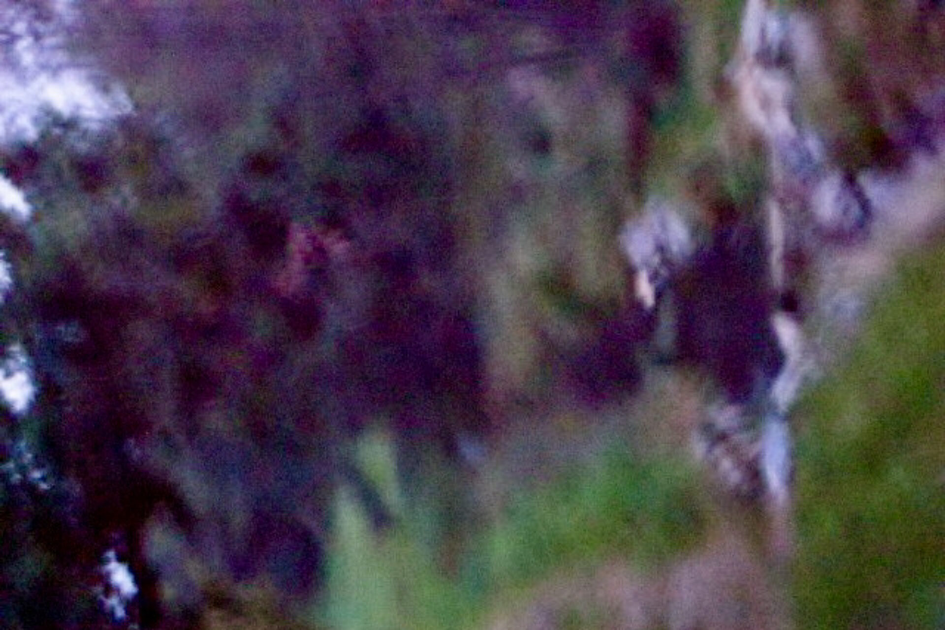 SOPHIE EBER | THEATERAUTORIN